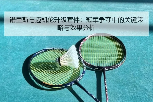 nuo-li-si-yu-mai-kai-lun-sheng-ji-tao-jian-guan-jun-zheng-duo-zhong-de-guan-jian-ce-lve-yu-xiao-guo-fen-xi-3-233.jpg
