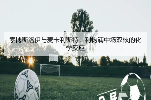 suo-bo-si-luo-yi-yu-mai-ka-li-si-te-li-wu-pu-zhong-chang-shuang-he-de-hua-xue-fan-ying-3-732.jpg