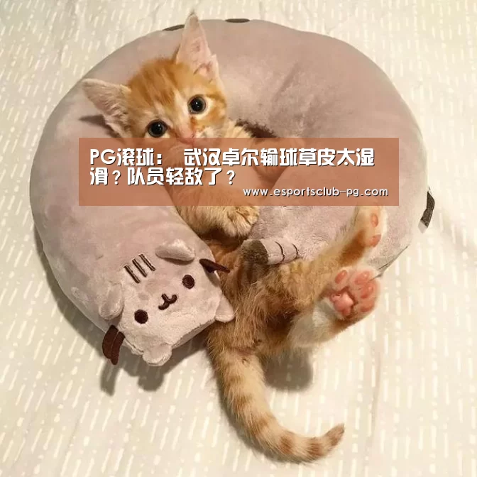 PG滚球