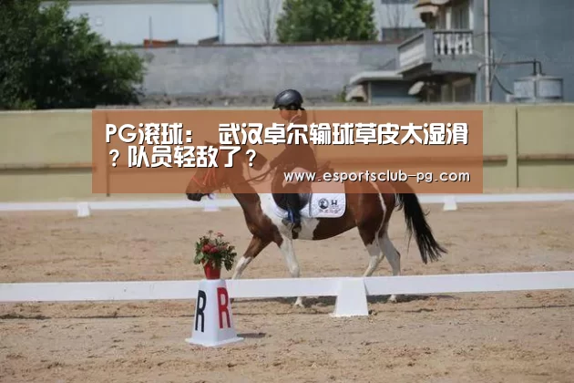 PG体育